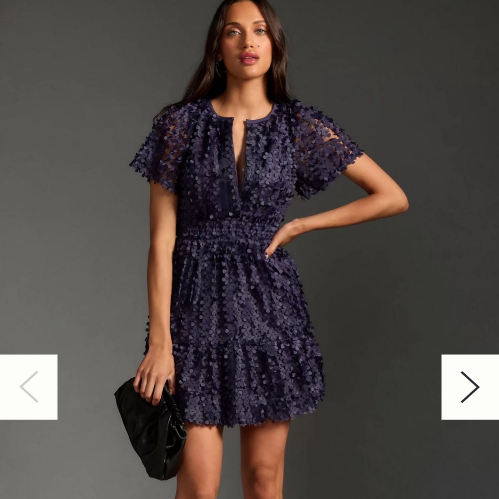 The Somerset Mini Dress: Floral Appliqué Edition – by Anthropologie